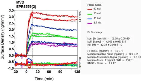 OI-RD Scanning - Anti-MVD antibody [EPR6559(2)] - BSA and Azide free (AB248271)