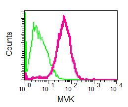 Flow Cytometry (Intracellular) - Anti-MVK antibody [EPR6507] (AB126619)