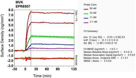 OI-RD Scanning - Anti-MVK antibody [EPR6507] (AB126619)