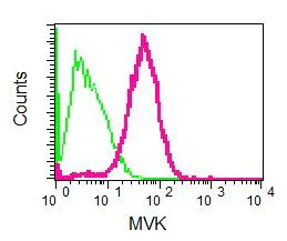 Flow Cytometry (Intracellular) - Anti-MVK antibody [EPR6507] - BSA and Azide free (AB248129)