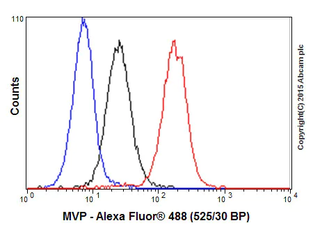 Flow Cytometry (Intracellular) - Anti-MVP antibody [EPR13227(B)] (AB175239)
