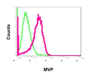 Flow Cytometry (Intracellular) - Anti-MVP antibody [EPR13227(B)] (AB175239)