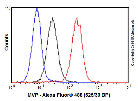 Flow Cytometry (Intracellular) - Anti-MVP antibody [EPR13227(B)] - BSA and Azide free (AB240184), expandable thumbnail