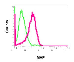 Flow Cytometry (Intracellular) - Anti-MVP antibody [EPR13227(B)] - BSA and Azide free (ab240184), expandable thumbnail