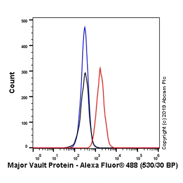 Flow Cytometry (Intracellular) - Anti-MVP antibody [EPR23594-106] - BSA and Azide free (AB273097)