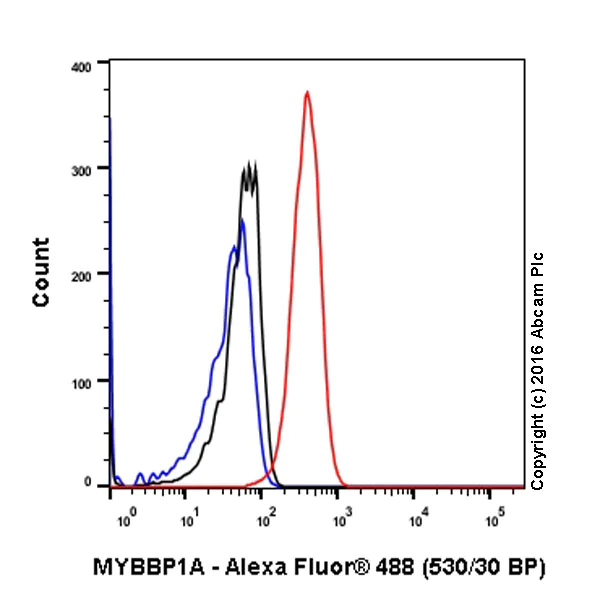 Flow Cytometry (Intracellular) - Anti-MYBBP1A antibody [EPR7205] - BSA and Azide free (AB251384)