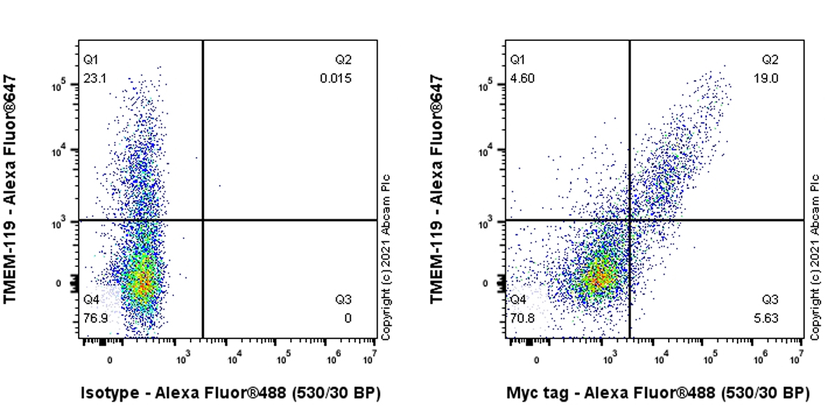 Flow Cytometry (Intracellular) - Anti-Myc tag antibody [Hyper-myc] - Mouse IgG2a (Chimeric) (AB289980), expandable thumbnail
