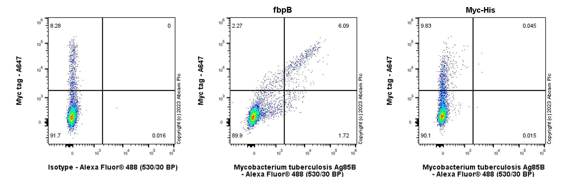 Flow Cytometry (Intracellular) - Anti-Mycobacterium tuberculosis Ag85B antibody [EPR28401-54] (AB312328), expandable thumbnail