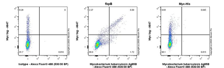 Flow Cytometry (Intracellular) - Anti-Mycobacterium tuberculosis Ag85B antibody [EPR28401-54] (AB312328)