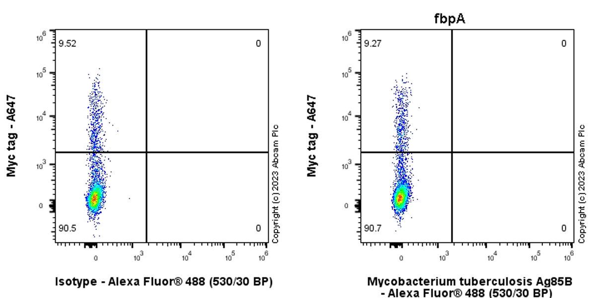 Flow Cytometry (Intracellular) - Anti-Mycobacterium tuberculosis Ag85B antibody [EPR28401-54] (AB312328), expandable thumbnail