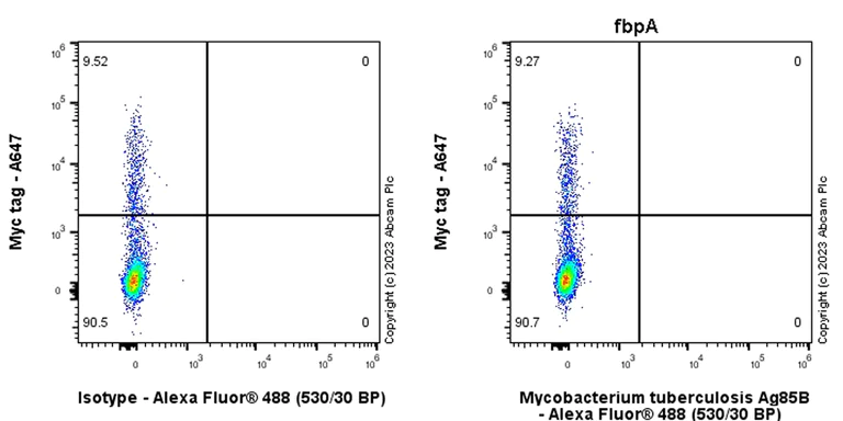 Flow Cytometry (Intracellular) - Anti-Mycobacterium tuberculosis Ag85B antibody [EPR28401-54] - BSA and Azide free (AB312329)