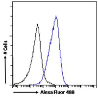 Flow Cytometry - Anti-MyD88 antibody (AB28763)