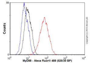 Flow Cytometry (Intracellular) - Anti-MyD88 antibody [EPR590(N)] - BSA and Azide free (AB199247)