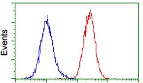 Flow Cytometry (Intracellular) - Anti-MyD88 antibody [OTI1B4] (AB119048)