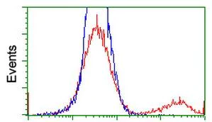 Flow Cytometry (Intracellular) - Anti-MyD88 antibody [OTI1B4] (AB119048)