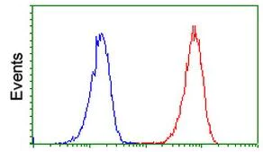 Flow Cytometry (Intracellular) - Anti-MyD88 antibody [OTI1B4] (AB119048)