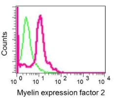 Flow Cytometry (Intracellular) - Anti-Myelin expression factor 2 antibody [EPR10774(B)] - BSA and Azide free (AB249614)