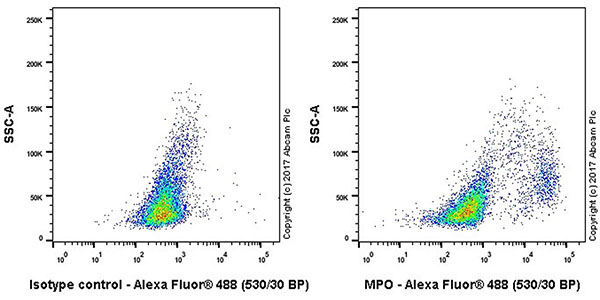 Flow Cytometry (Intracellular) - Anti-Myeloperoxidase antibody [EPR17996] (ab188211), expandable thumbnail