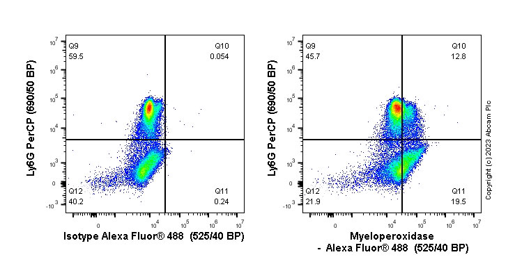 Flow Cytometry (Intracellular) - Anti-Myeloperoxidase antibody [EPR17996] (ab188211), expandable thumbnail