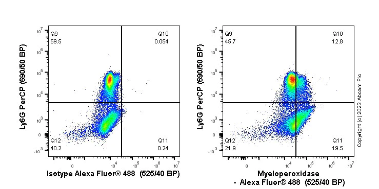 Flow Cytometry (Intracellular) - Anti-Myeloperoxidase antibody [EPR17996] (AB188211)