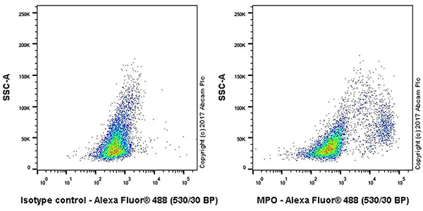 Flow Cytometry (Intracellular) - Anti-Myeloperoxidase antibody [EPR17996] - BSA and Azide free (AB236022)