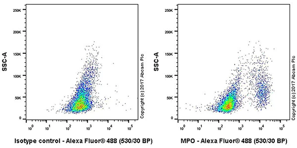 Flow Cytometry (Intracellular) - Anti-Myeloperoxidase antibody [EPR20257] (AB208670)