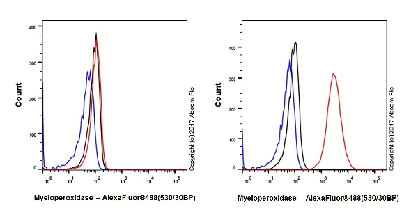 Flow Cytometry (Intracellular) - Anti-Myeloperoxidase antibody [EPR20257] (AB208670)