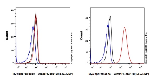 Flow Cytometry (Intracellular) - Anti-Myeloperoxidase antibody [EPR20257] - BSA and Azide free (AB221847), expandable thumbnail