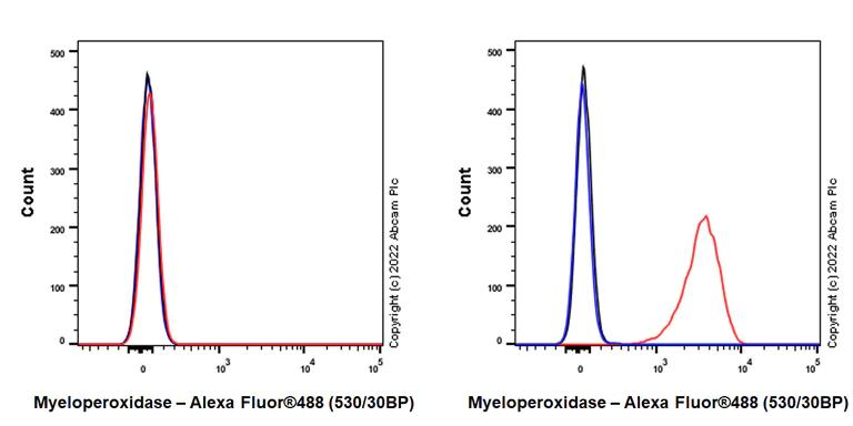 Flow Cytometry (Intracellular) - Anti-Myeloperoxidase antibody [EPR20257] - Rat IgG2a (Chimeric) - BSA and Azide free (AB300651)