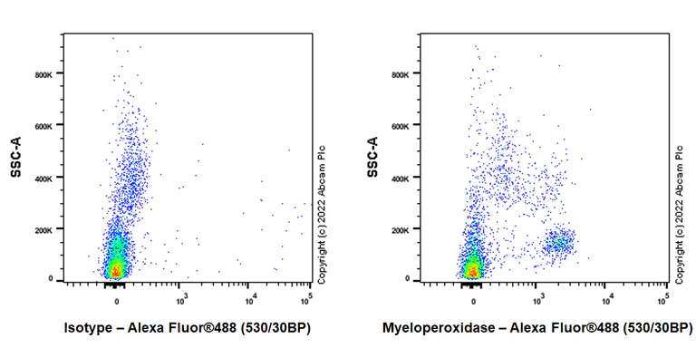 Flow Cytometry (Intracellular) - Anti-Myeloperoxidase antibody [EPR20257] - Rat IgG2a (Chimeric) - BSA and Azide free (AB300651)