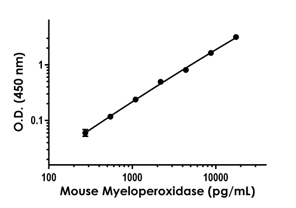 Sandwich ELISA - Anti-Myeloperoxidase antibody [EPR23013-216] - BSA and Azide free (Detector) (AB275292)