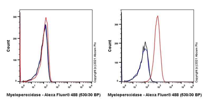 Flow Cytometry (Intracellular) - Anti-Myeloperoxidase antibody [EPR4793] (AB134132)