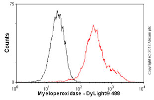 Flow Cytometry (Intracellular) - Anti-Myeloperoxidase antibody [SP72] (AB93665), expandable thumbnail