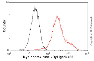 Flow Cytometry (Intracellular) - Anti-Myeloperoxidase antibody [SP72] (AB93665)