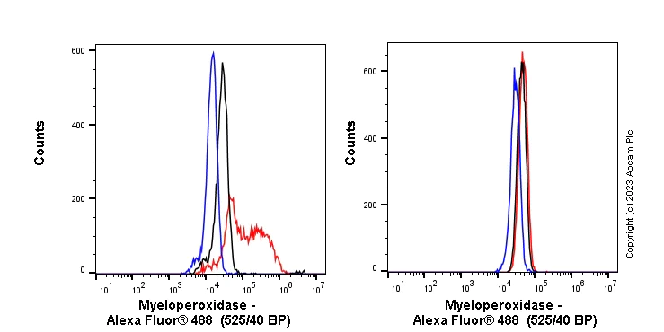 Flow Cytometry (Intracellular) - Anti-Myeloperoxidase antibody [SP72] - BSA and Azide free (AB236218)