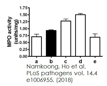 Functional Studies - Myeloperoxidase (MPO) Activity Assay Kit (Colorimetric) (AB105136)
