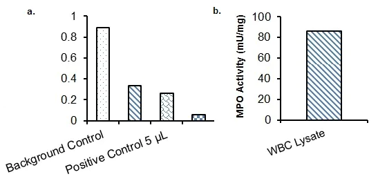 Functional Studies - Myeloperoxidase (MPO) Activity Assay Kit (Colorimetric) (AB105136)