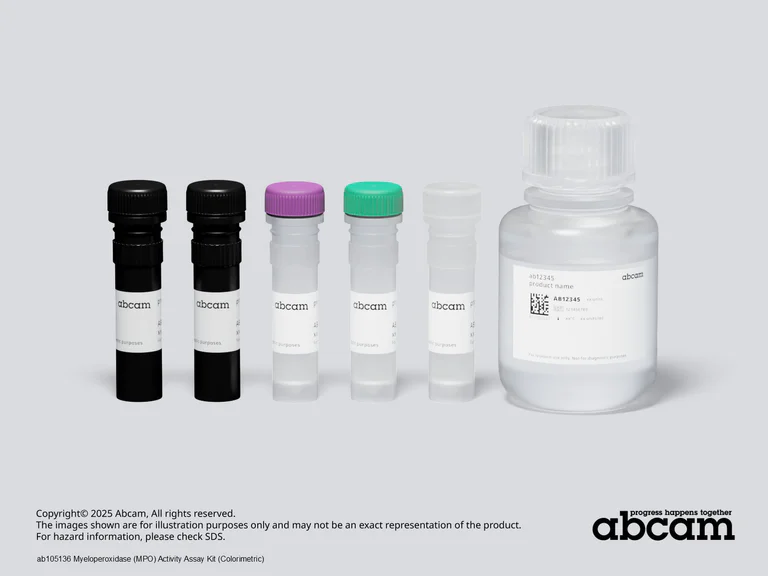 Schematic Diagram - Myeloperoxidase (MPO) Activity Assay Kit (Colorimetric) (AB105136)
