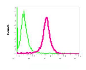 Flow Cytometry (Intracellular) - Anti-MYL1 antibody [EPR9934(B)] - BSA and Azide free (AB249061), expandable thumbnail