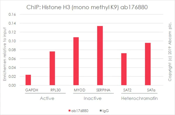 ChIP - Myo-D positive control ChIP primer pair (AB269261)