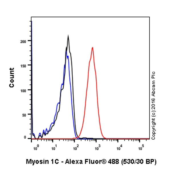 Flow Cytometry (Intracellular) - Anti-MYO1C antibody [EPR14771] - BSA and Azide free (AB251196)
