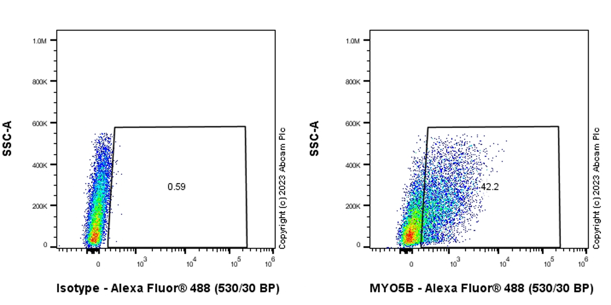 Flow Cytometry (Intracellular) - Anti-MYO5B antibody [EPR28275-55] - BSA and Azide free (ab313796), expandable thumbnail