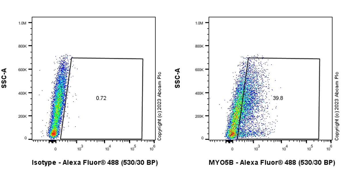 Flow Cytometry (Intracellular) - Anti-MYO5B antibody [EPR28275-55] - BSA and Azide free (ab313796), expandable thumbnail
