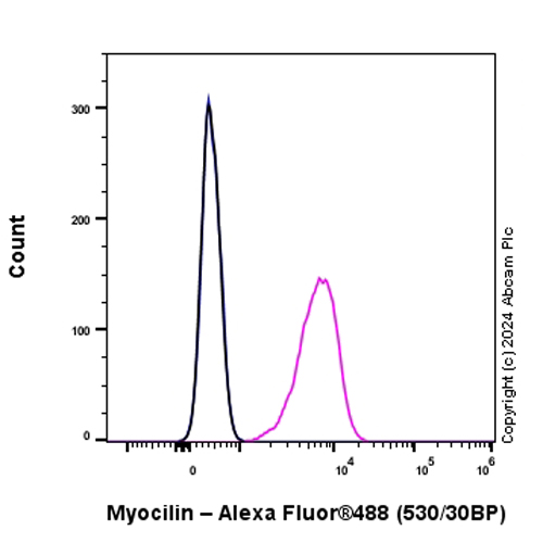 Flow Cytometry (Intracellular) - Anti-Myocilin antibody [EPR28799-15] - BSA and Azide free (AB318198), expandable thumbnail