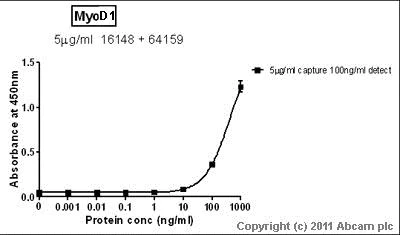 Sandwich ELISA - Anti-MyoD1 antibody [5.2F] (AB16148)