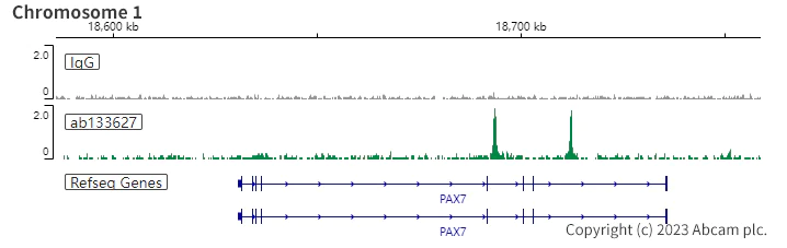 ChIC/CUT&RUN sequencing - Anti-MyoD1 antibody [EPR6653-131] - BSA and Azide free (AB240073)