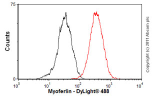 Flow Cytometry - Anti-Myoferlin antibody [7D2] (AB76746)