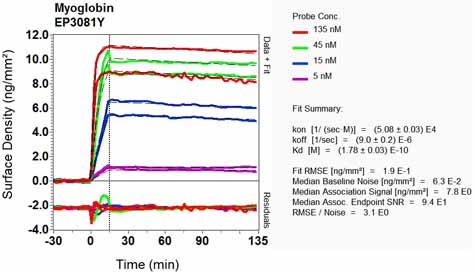 OI-RD Scanning - Anti-Myoglobin antibody [EP3081Y] (ab77232), expandable thumbnail