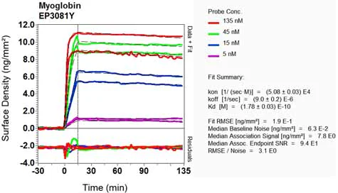OI-RD Scanning - Anti-Myoglobin antibody [EP3081Y] (AB77232)