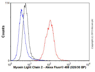 Flow Cytometry (Intracellular) - Anti-Myosin Light Chain 2 antibody [AT3B2] (AB89594)